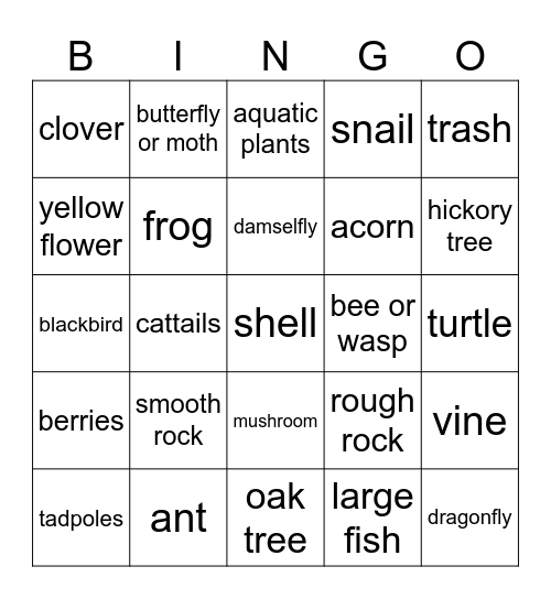 Pond Walk Bingo Card