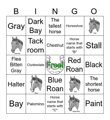 Colors and Markings Bingo Card