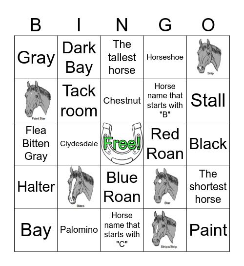 Colors and Markings Bingo Card