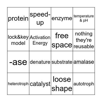 Enzyme Bingo Card