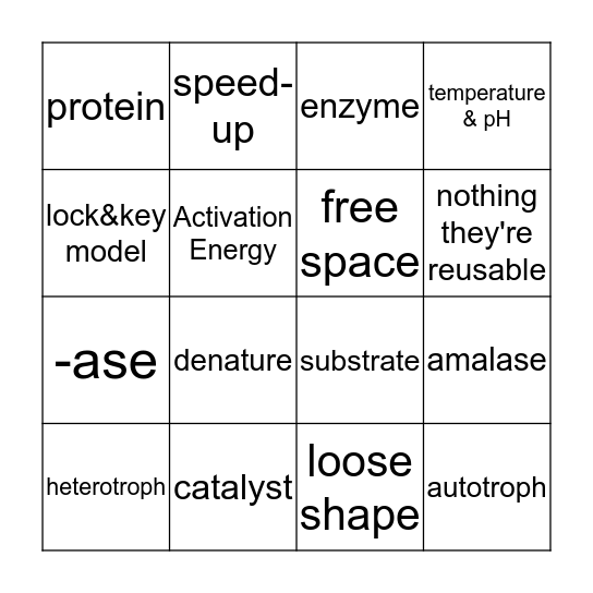 Enzyme Bingo Card