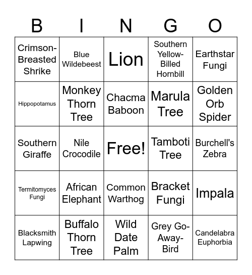 Mongena Bingo Card