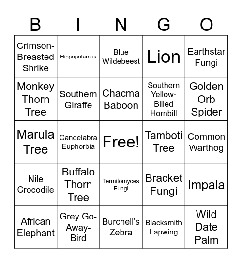Mongena Bingo Card