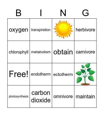 Energy and Food Bingo Card