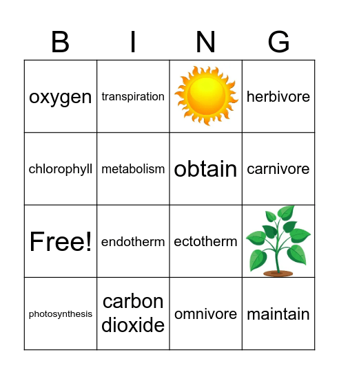 Energy and Food Bingo Card