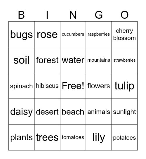 Nature Bingo! Bingo Card