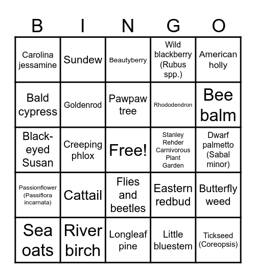 Native NC Plant BINGO Card