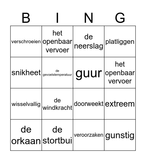 Noodweer Bingo Card