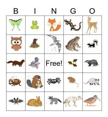 Nocturnal Animal Bingo Card