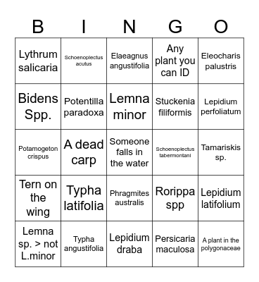 Provo Bay Bingo Card