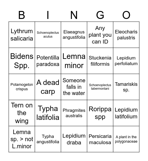 Provo Bay Bingo Card