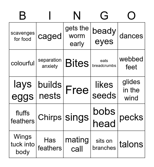 Birdgirl Bingo Card