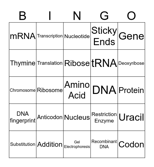 Unit 5 Gene Expression Review Bingo Card