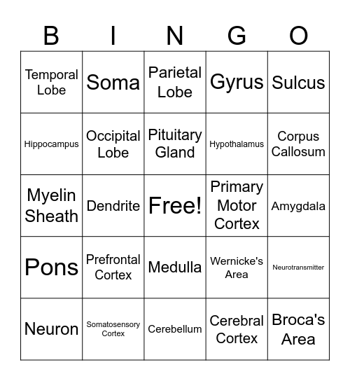 Brain Bingo Card