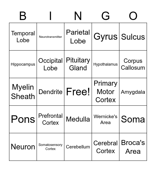 Brain Bingo Card