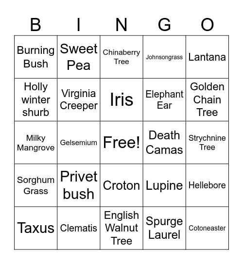 Don't Put it in your mouth! Poison! Bingo Card