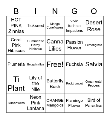SUMMER VIBES Bingo Card