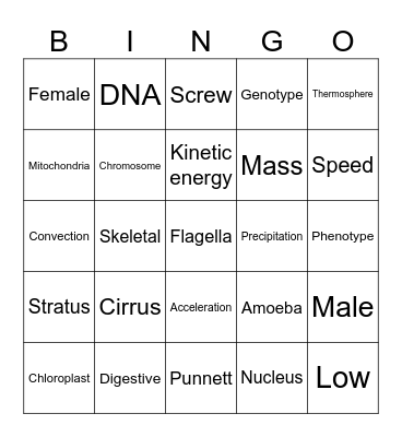 7th Science Review Bingo Card