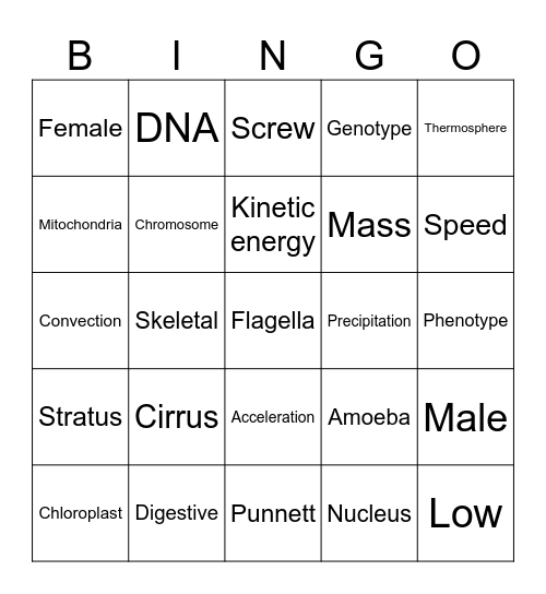 7th Science Review Bingo Card