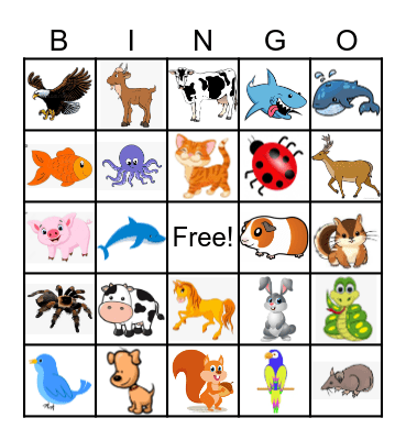 ANIMAL Bingo Card