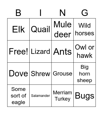 SF Bingo Card