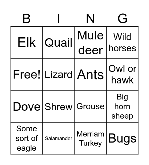 SF Bingo Card