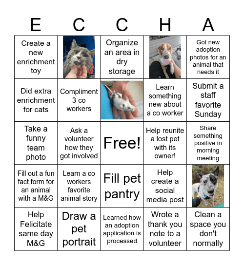 ECCHA BINGO! Bingo Card