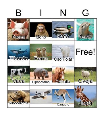 Animals in Spanish Bingo Card