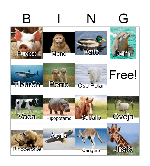 Animals in Spanish Bingo Card