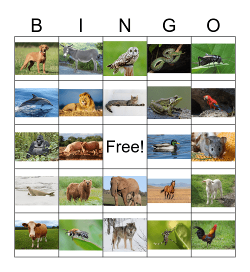 Animal Sounds Bingo Card