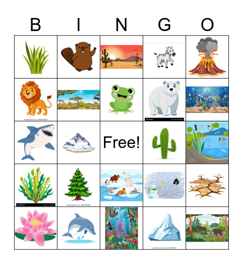 Biome Bingo Card