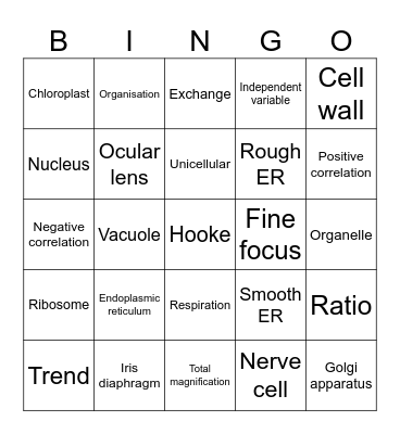 Year 8 - Biology Bingo Card