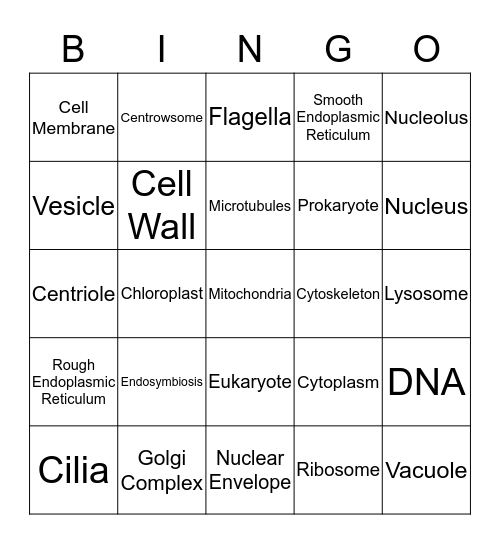 Cell Organelles Bingo Card