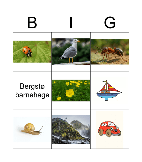BINGO INSEKTER Bingo Card