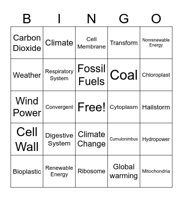 End of Year Bingo Card