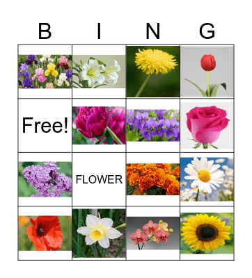 SUMMER FLOWERS (pictures) Bingo Card