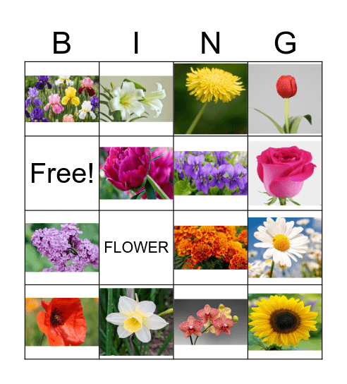 SUMMER FLOWERS (pictures) Bingo Card