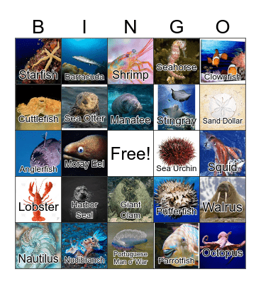 Ocean Animals! Bingo Card