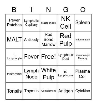 Lymphatic and Immune Systems Bingo Card