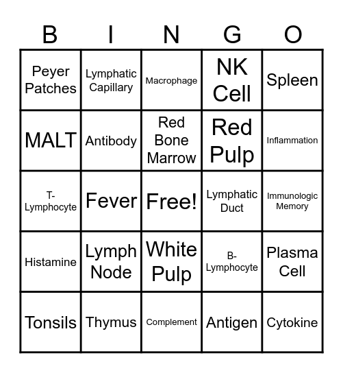 Lymphatic and Immune Systems Bingo Card