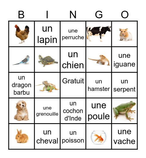 Les Animaux domestiques Bingo Card