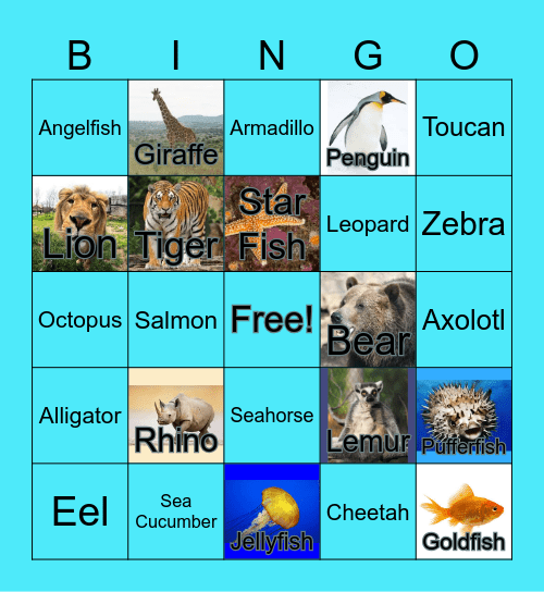 Zoo and Aquarium Bingo Card