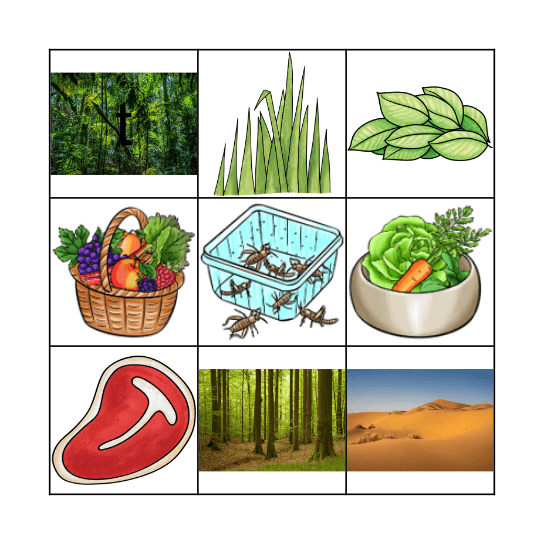 Animals: Food and habitat Bingo Card