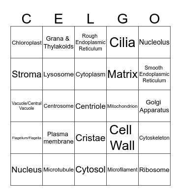 Biology Cellgo Bingo Card