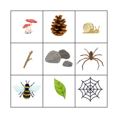 Nature Bingo Card