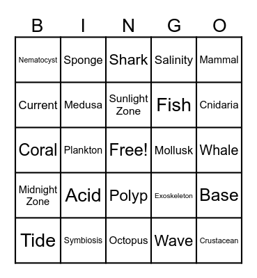 Marine Biology Vocabulary Review Bingo Card