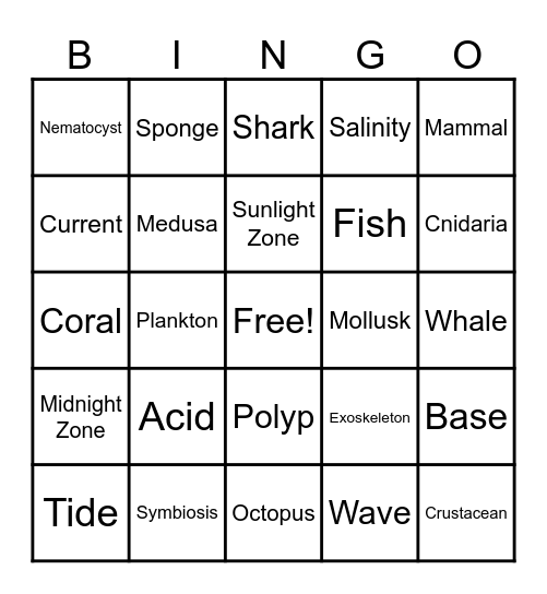 Marine Biology Vocabulary Review Bingo Card
