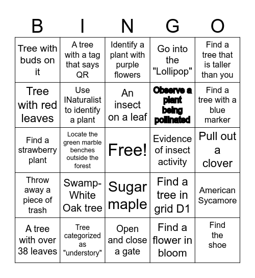 Mini-Forest Scavenger Bingo (By AJ Shaw) Bingo Card