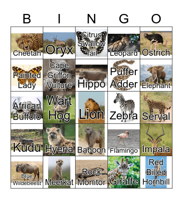Safari Animal Bingo Card