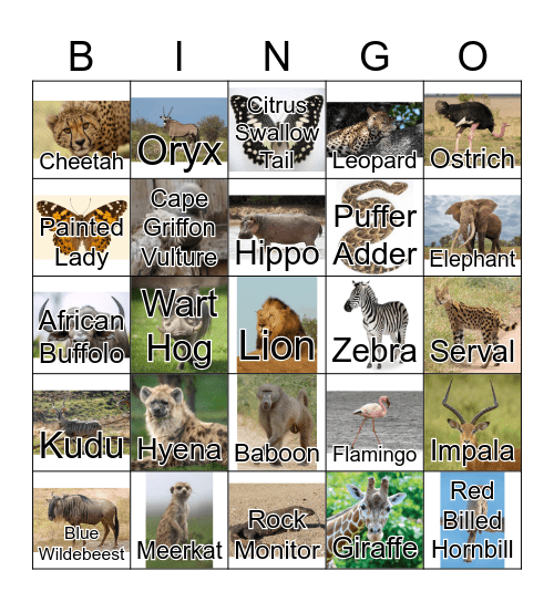 Safari Animal Bingo Card